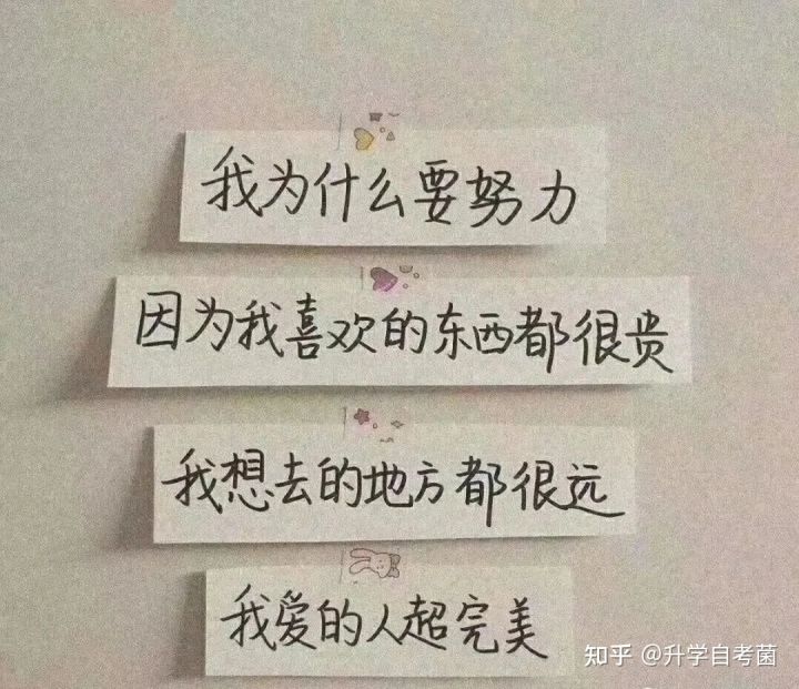 到底什么叫自考?自考和高考有什么区别。(图2)