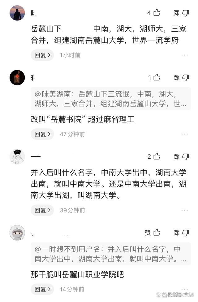 网友建议中南、湖大、师大合并组建岳麓山大学，打造世界一流大学(图1)