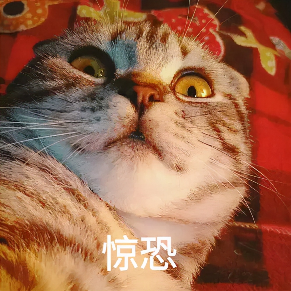毕业生必看!自考学士学位申请的详细流程(图2)