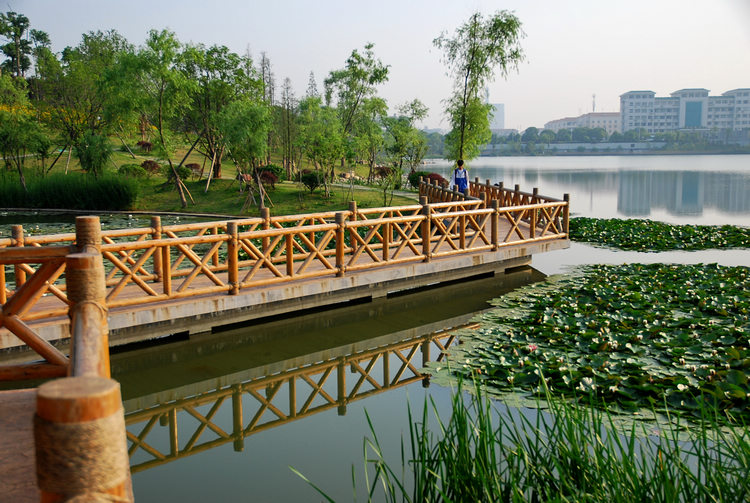 湖南师范大学学校简介(图4)