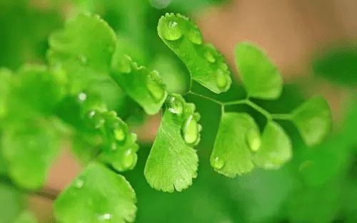 湖南师范大学成人高考怎么样?认可度高吗?(图1)