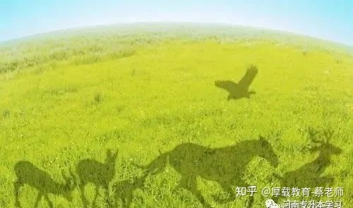 成人高考报名有年龄限制吗(图2)
