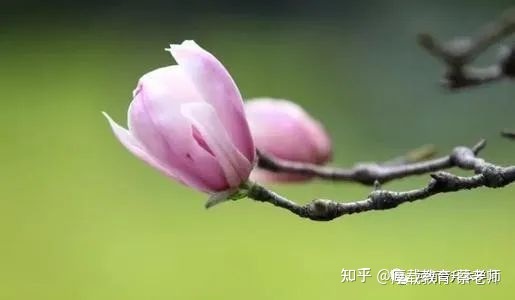 成人高考报名有年龄限制吗(图3)