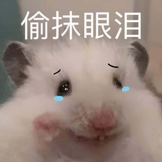 想专升本！自考、成考、网教该怎么选？(图1)