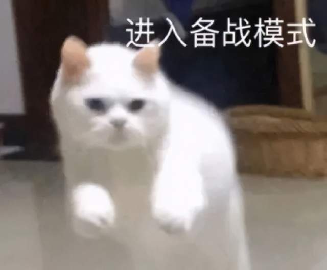 想专升本！自考、成考、网教该怎么选？(图6)