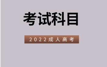2022成人高考都考什么?(图1)