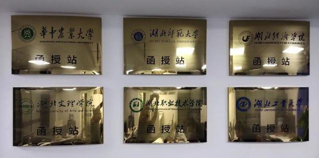 成人高考和自考有什么不同(图1)