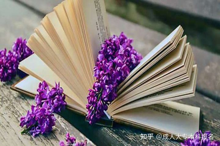 成人高考要考几个科目?考试难度怎么样?(图1)